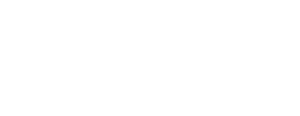 Deye White Logo